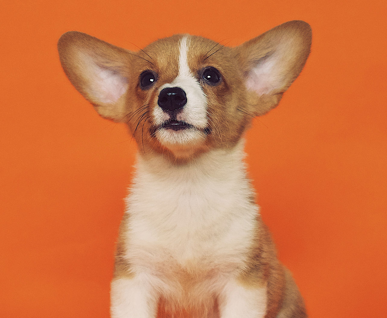 비엠스마일 이미지